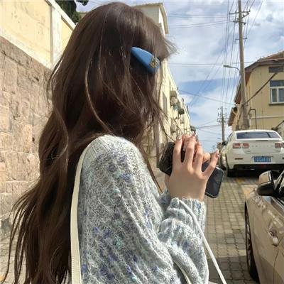 莫西干回到故乡